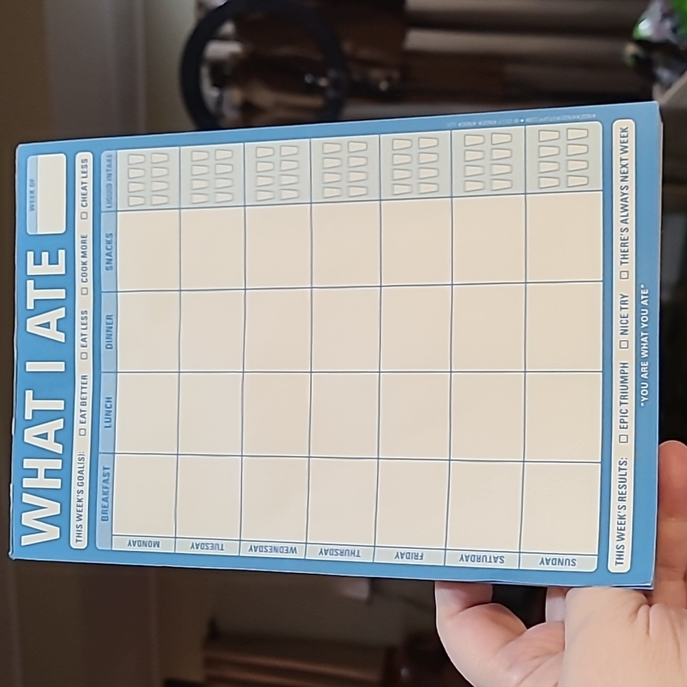 🩶 "What I Ate" daily/weekly diet & water tracker, magnetic back, over 50 pages